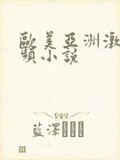 欧美亚洲激情视频小说