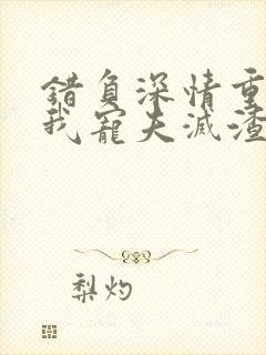 错负深情重生后我宠夫灭渣小说免费阅读封面