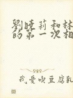 刘晓莉和林俊逸的第一次相遇小说叫