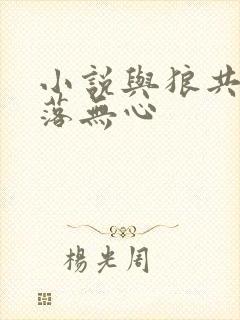 小说与狼共舞叶落无心封面