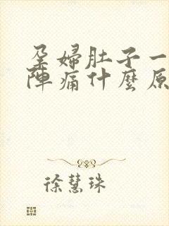 孕妇肚子一阵一阵痛什么原因封面