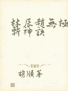 林辰赵无极九天斩神诀