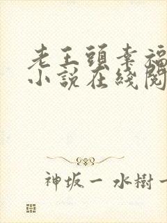 老王头幸福晚年小说在线阅读封面