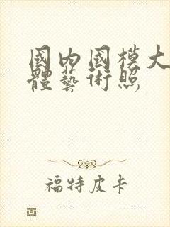 国内国模大胆裸体艺术照