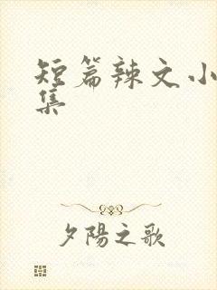 短篇辣文小说合集