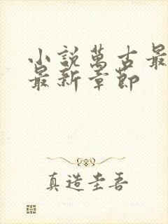 小说万古最强宗最新章节