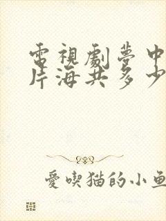 电视剧梦中的那片海共多少集