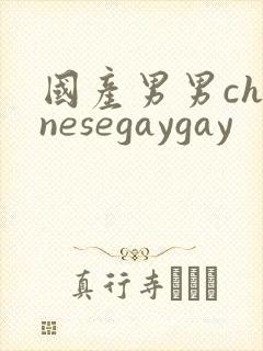 国产男男chinesegaygay