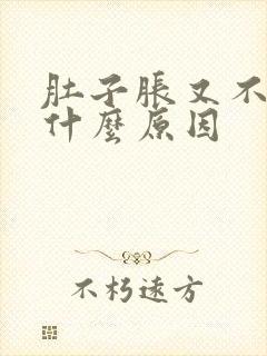 肚子胀又不放屁什么原因封面