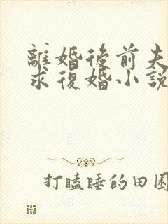 离婚后前夫哭着求复婚小说阅读全部