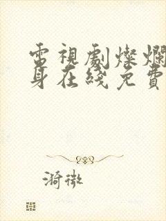 电视剧灿烂的转身在线免费观看