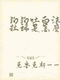 狗狗吐白沫黏液拉稀是怎么回事封面