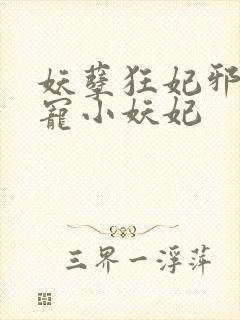 妖孽狂妃邪君溺宠小妖妃