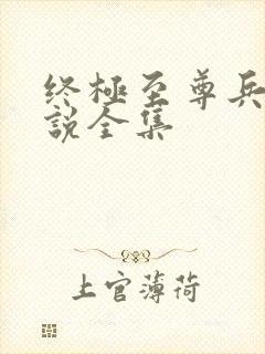 终极至尊兵王小说全集