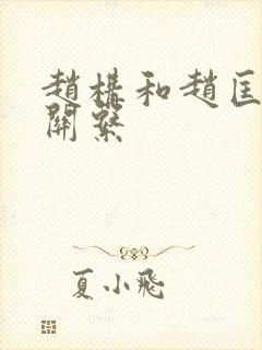 赵构和赵匡胤的关系