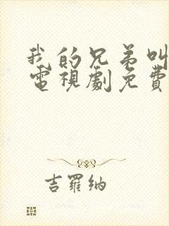 我的兄弟叫向前电视剧免费播放