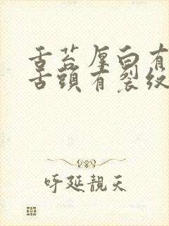 舌苔厚白有齿痕舌头有裂纹封面