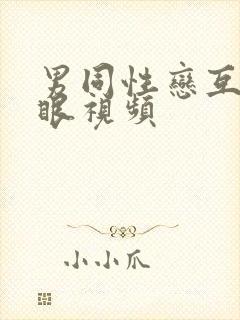 男同性恋互操屁眼视频