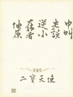 他在逆光中告白原著小说叫什么