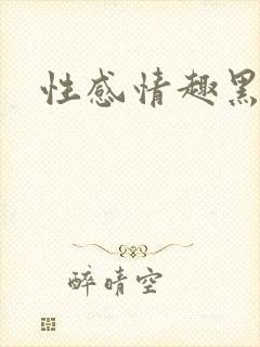 性感情趣黑丝袜