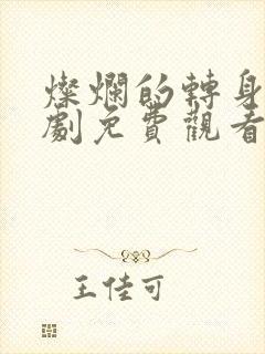 灿烂的转身电视剧免费观看高清