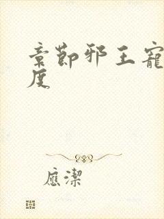 章节邪王宠妻无度