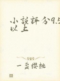 小说评分9.5以上封面