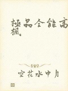 极品全能高手季枫