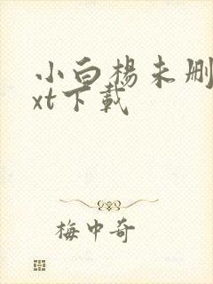 小白杨未删减txt下载