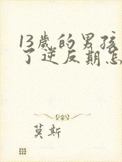 13岁的男孩到了逆反期怎么教