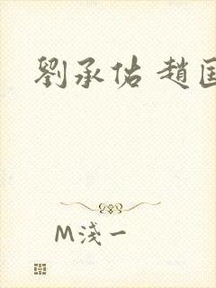 刘承佑 赵匡胤封面