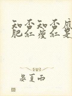 知否知否应是绿肥红瘦红是什么花封面