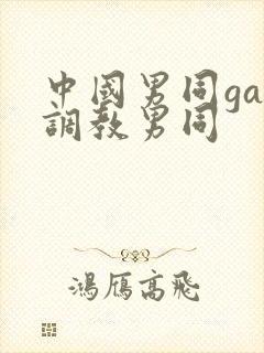 中国男同gay调教男同