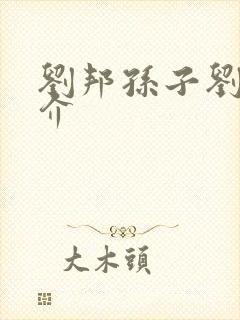 刘邦孙子刘章简介封面