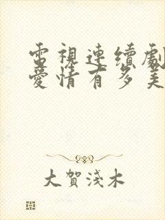 电视连续剧因为爱情有多美