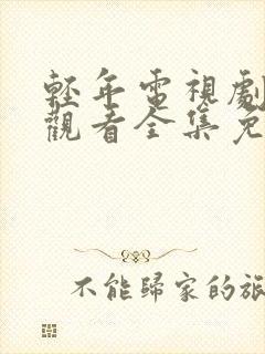 轻年电视剧在线观看全集免费