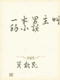 一本男主叫周扬的小说