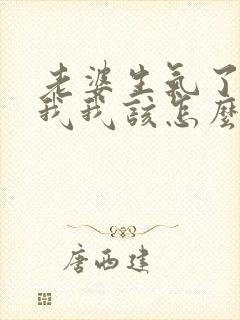 老婆生气了不理我我该怎么办