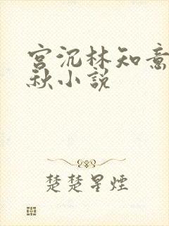 宫沉林知意宋婉秋小说