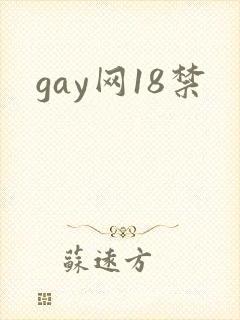 gay网18禁