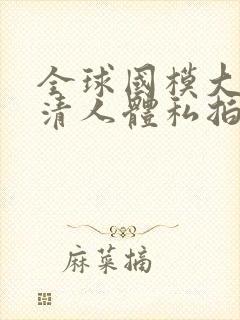 全球国模大胆高清人体私拍