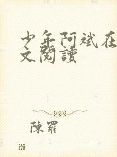 少年阿斌在线全文阅读