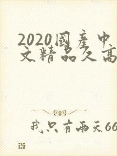 2020国产中文精品久高清91