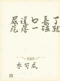 尿道口长了一个疙瘩一碰就疼