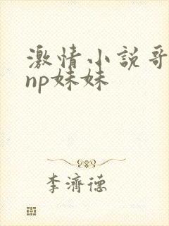 激情小说哥哥们np妹妹