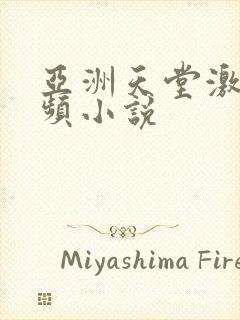 亚洲天堂激情视频小说