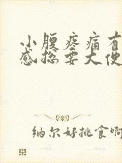 小腹疼痛有下坠感总要大便的感觉怎么办