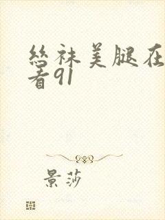 丝袜美腿在线观看91