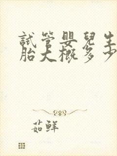 试管婴儿生双胞胎大概多少钱