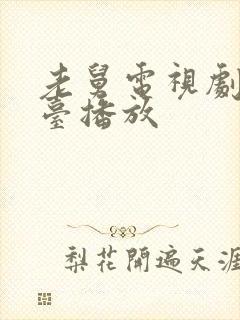 老舅电视剧哪个台播放封面